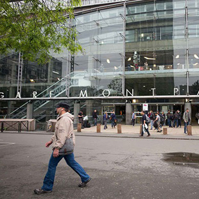 Wish Paris Disney Transfer Tours