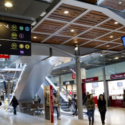 Wish Paris Disney Transfer Tours