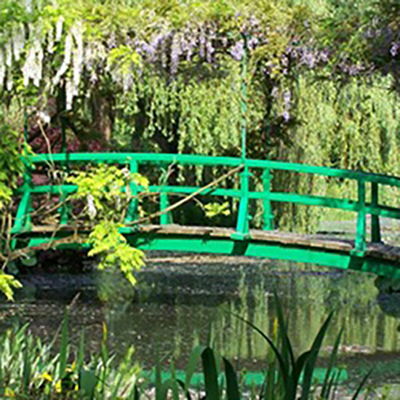 Wish Paris Disney Transfer Tours