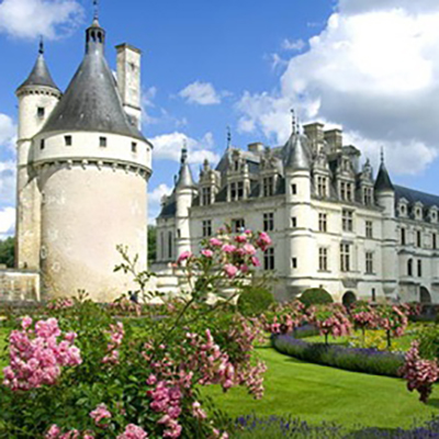 Wish Paris Disney Transfer Tours