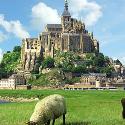 Wish Paris Disney Transfer Tours