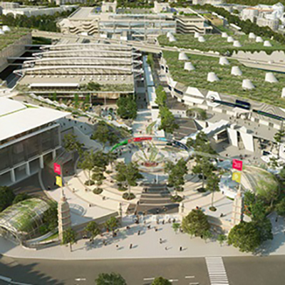 Wish Paris Disney Transfer Tours