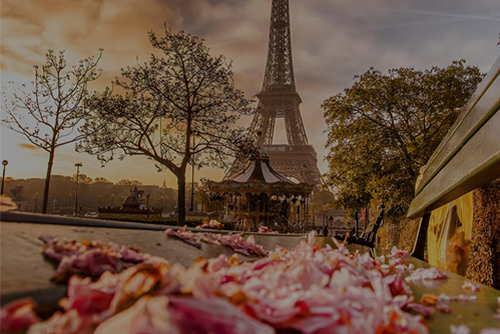 Wish Paris Disney Transfer Tours