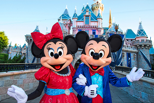 Wish Paris Disney Transfer Tours
